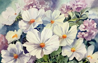 花卉——裝點生活與心靈的自然詩篇